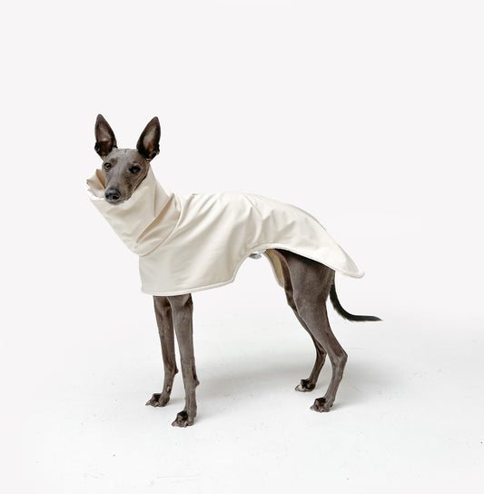 Raincoats (Whippets Only)