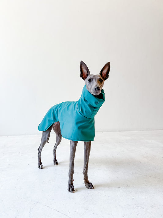 Raincoats (Whippets Only)
